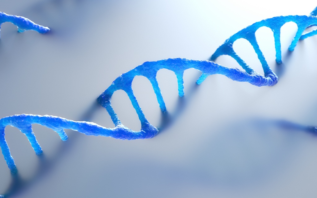 Рибосома собирает белки из 20 аминокислот Рибосома