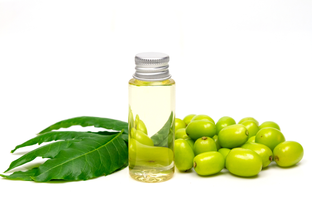 Масло нима получают путем холодного отжима косточек, находящихся в плодах этого дерева Масло нима