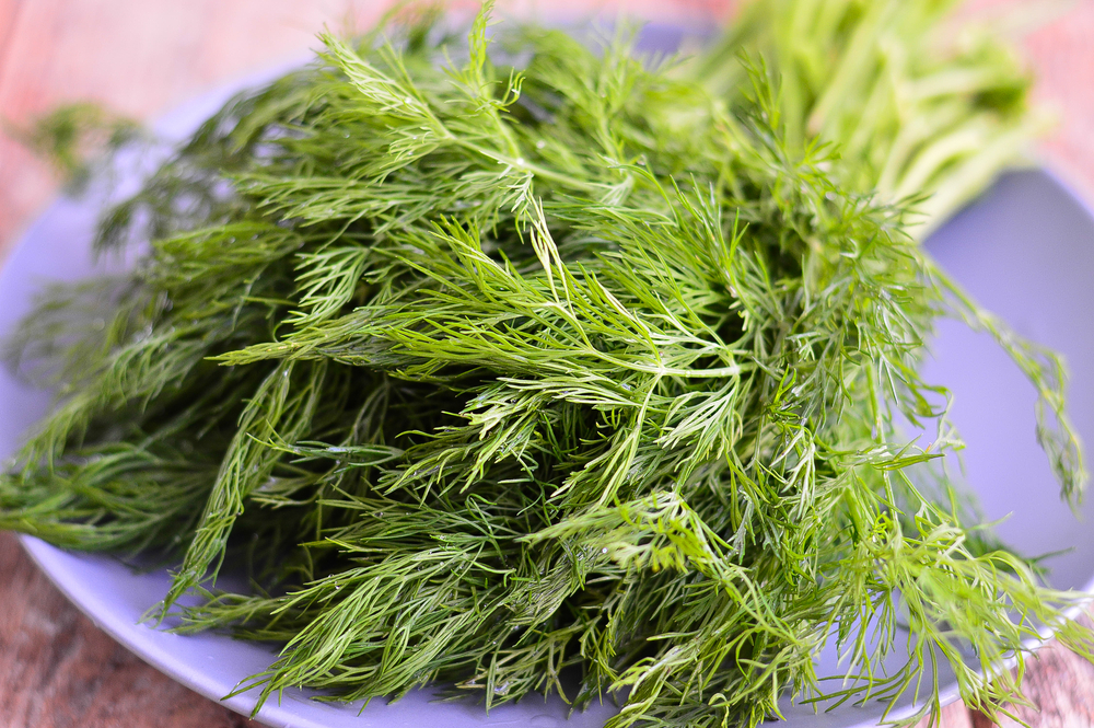 Очень многие растения содержат вещества, обладающие сильным антигельминтным действием Натуральные антигельминтные вещества