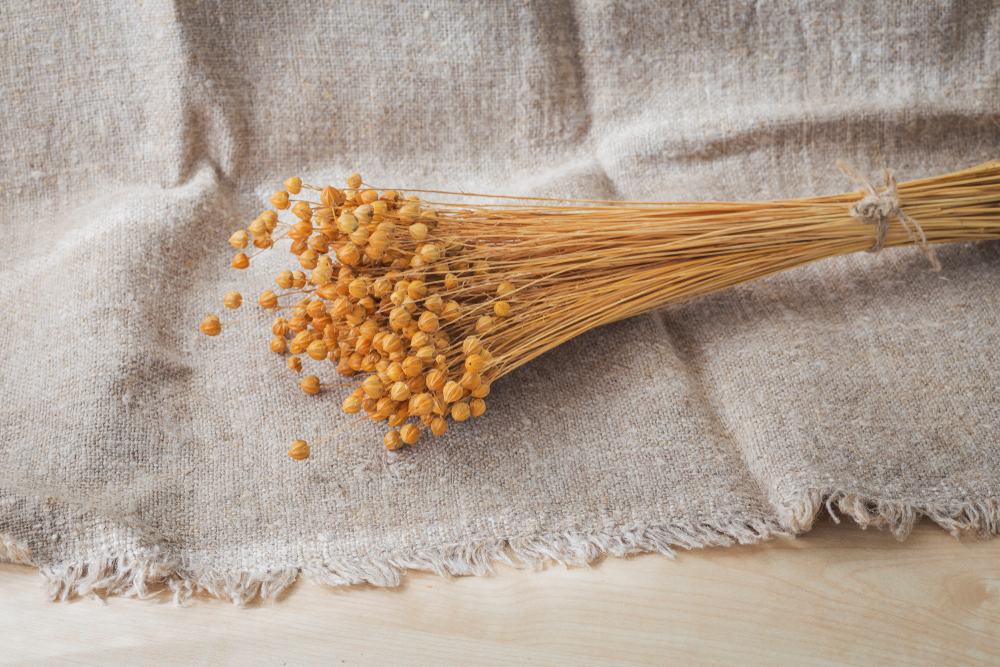 Одно из самых действенных средств для очищения кишечника от токсинов, ядов, гнилостных бактерий — семена льна В переработанных пищеварительной системой семенах имеется слизь, которая облегчает процесс очистки и делает его более мягким