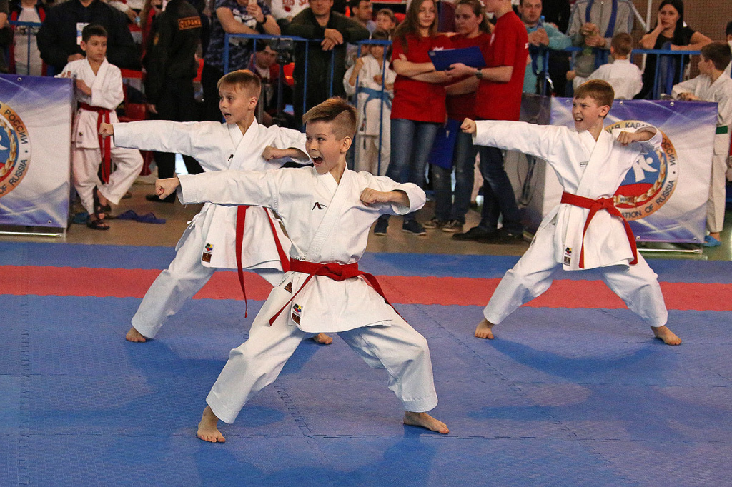 Если ребенок решил увлечься спортом, то его родители должны быть готовы к тому, что в некоторых видах спорта высока вероятность получения травмы К чему должны быть готовы родители?