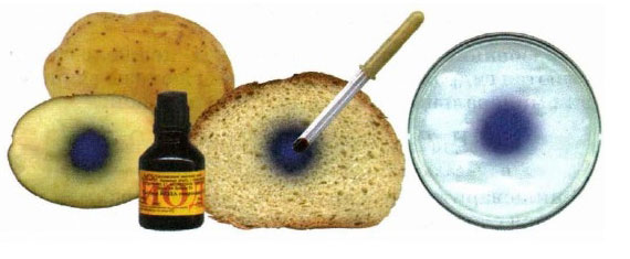 Особой популярностью пользуется реакция распознавания сахаридов при помощи йода Цветные реакции с углеводами