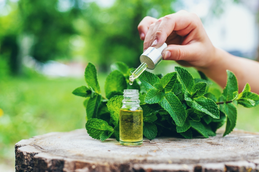 Прием капсул с маслом мяты перечной с кишечнорастворимой оболочкой помогает при синдроме раздраженного кишечника Масло мяты перечной при синдроме раздраженного кишечника