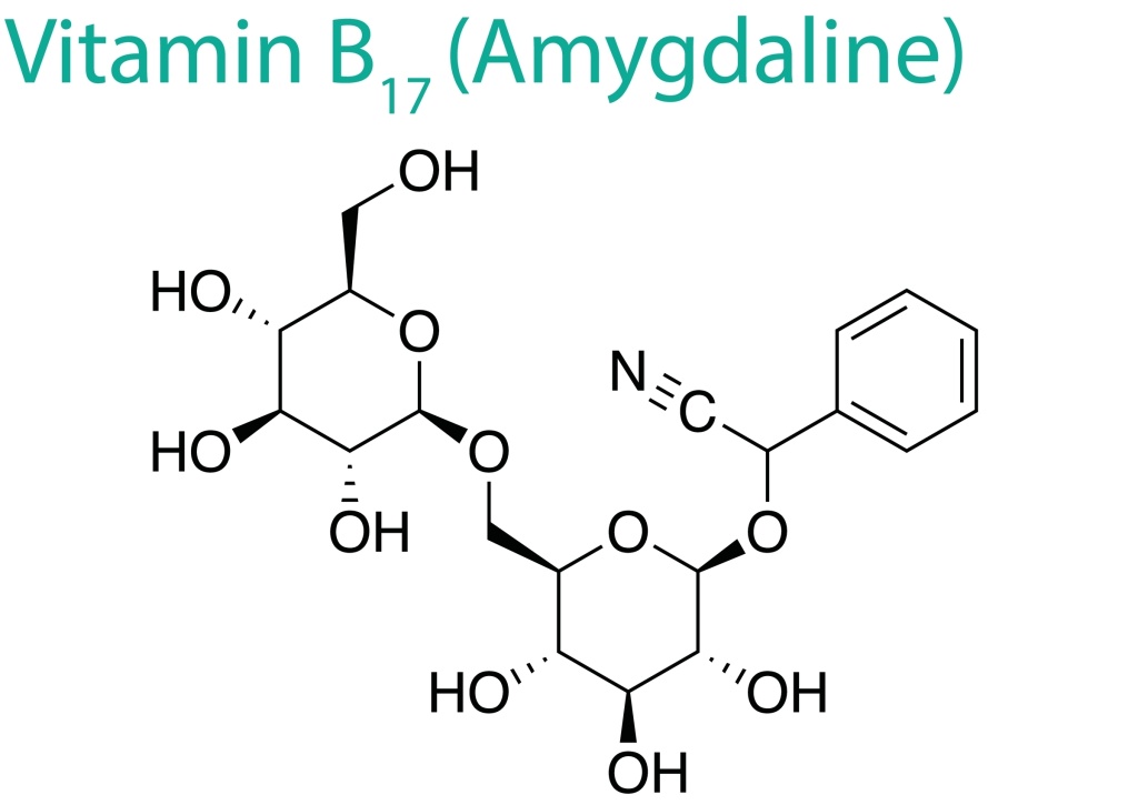 B17 – это водорастворимое вещество группы В amigdalin.jpg