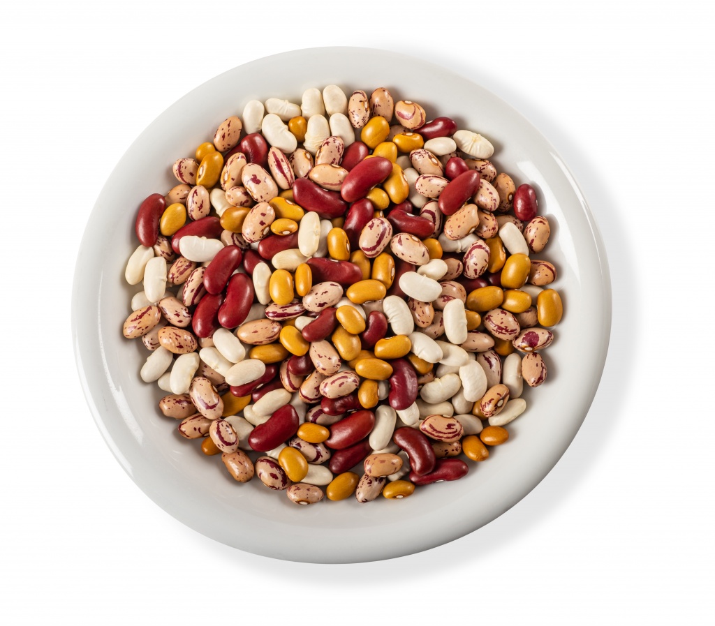 Фасоль — одна из древнейших популярнейших зернобобовых культур Фасоль