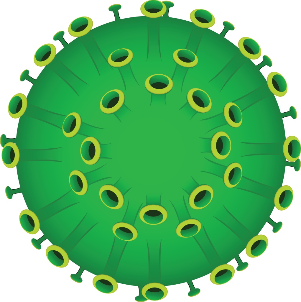 Фитосома представляет собой мельчайшую каплю экстракта растения, которая заключена в оболочку из растительного лецитина Фитосома