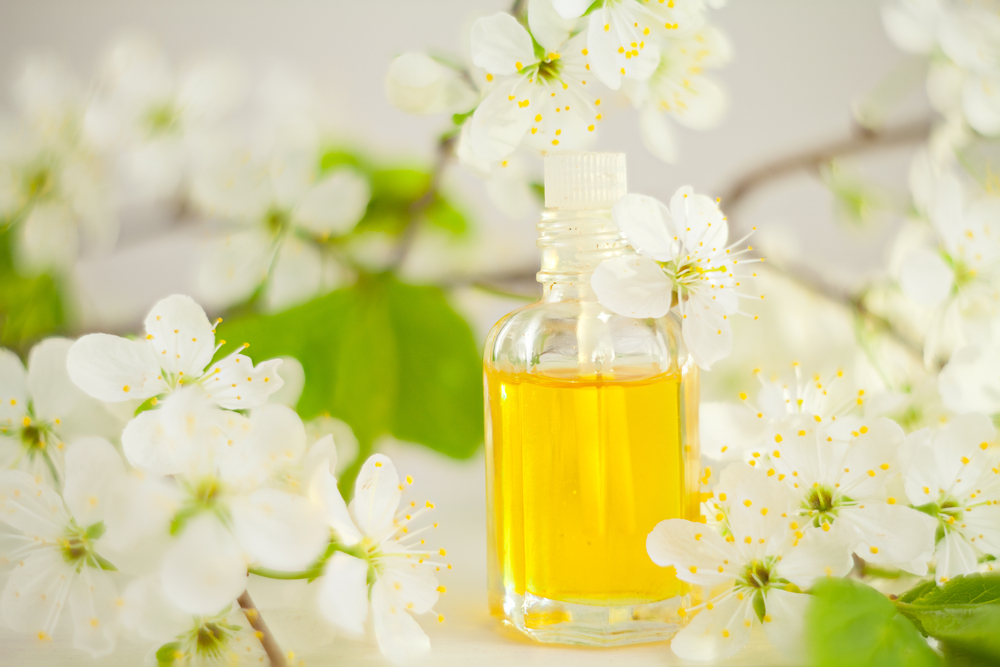 Натуральные масла с успехом выполняют многие полезные функции для кожи лица Огромное достоинство естественных природных масел в их легком впитывании, возможности сочетания с прочими косметическими составами, использования в качестве основы под декоративную косметику