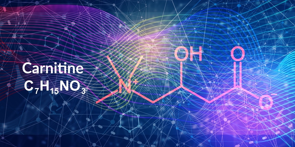 L-карнитин – это вещество, родственное витаминам B и относящееся к аминокислотам L-карнитин