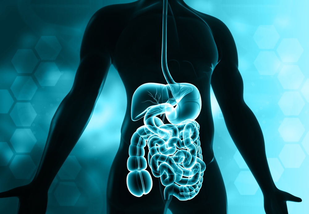 Под влияние вредного воздействия курения попадает пищеварительная система Вредное воздействие курения