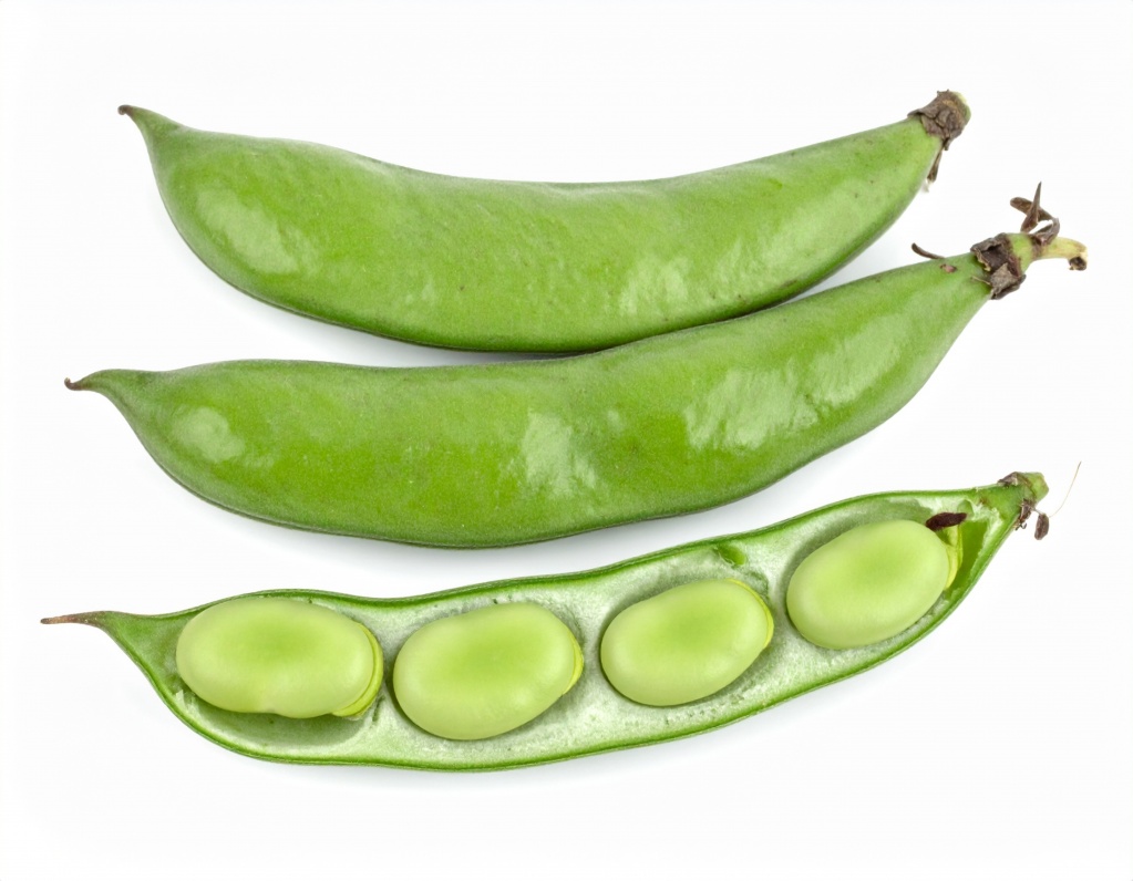 Фасоль обладает целым рядом положительных свойств для организма человека В чем состоят положительные свойства фасоли?