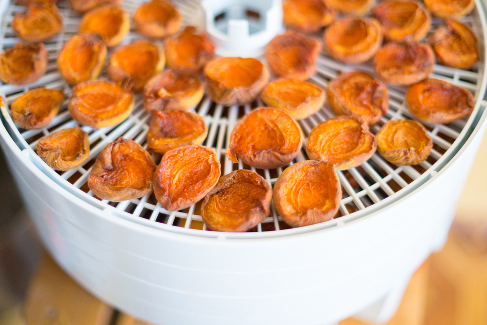 Выбирайте правильные сушки – радуйте семью вкусными, полезными овощными и фруктовыми чипсами Выбирайте правильные сушки