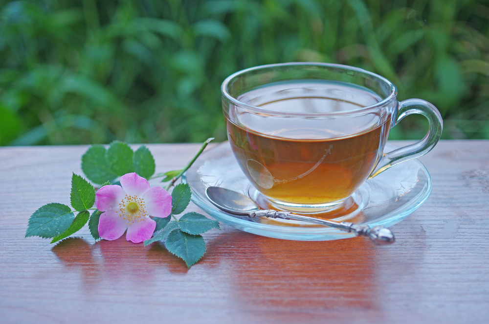 Трава алтей обладает лечебными свойствами, оказывает мочегонный эффект, выводит токсины из почек Трава алтей