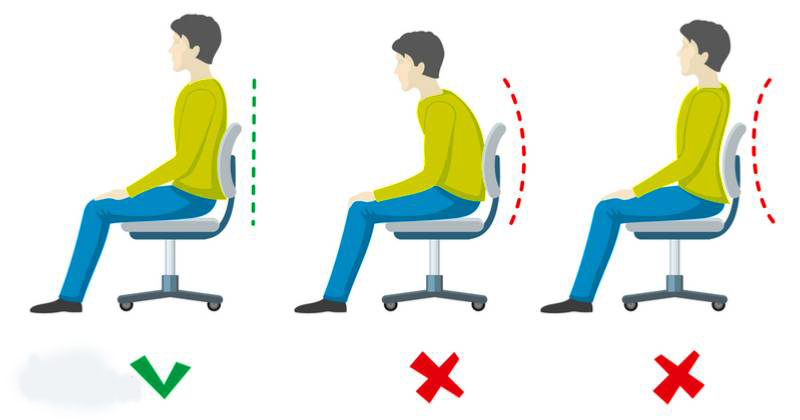 Идеальная спинка стула должна полностью повторять изгибы позвоночника и иметь дополнительную опору в области поясницы Как правильно сидеть за столом?