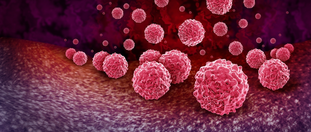 Лейкоциты – это компоненты крови, которые образуют иммунную систему Лейкоциты