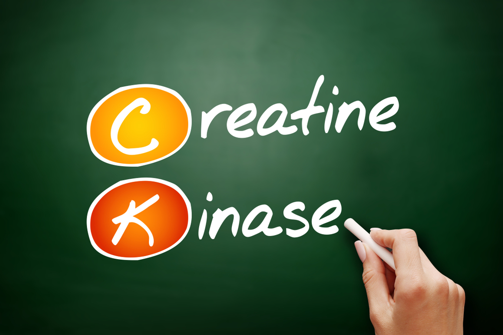 Для определения уровня креатина в крови исследуется кровь Причины повышения уровня креатина в крови