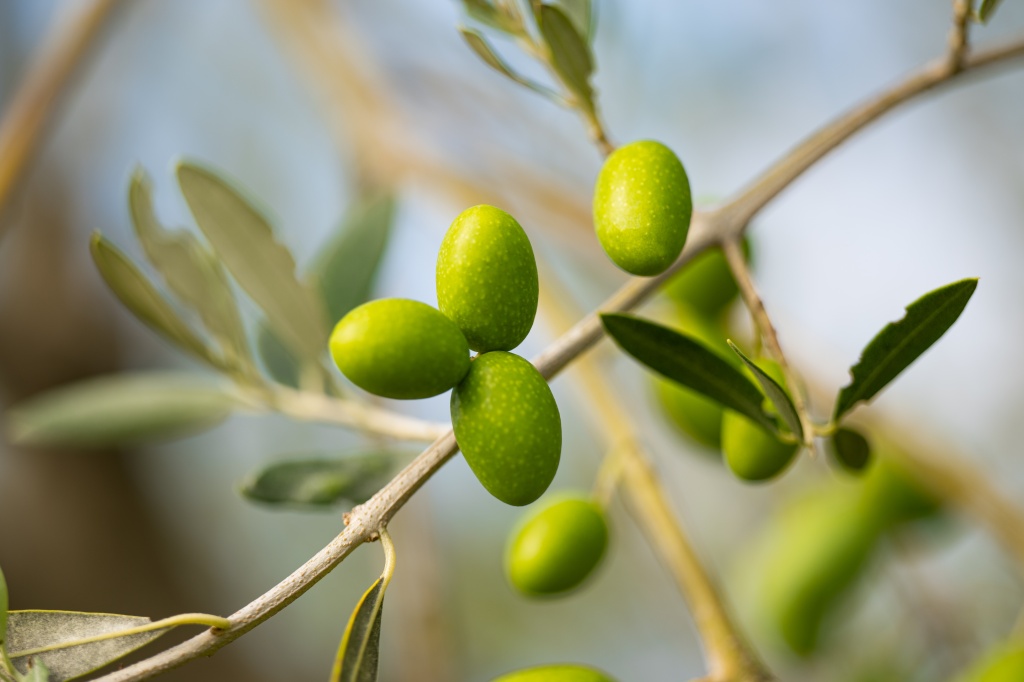 Это блюдо любят и готовят во всем мире и его название так же изменчиво, как и рецепт Это блюдо любят и готовят во всем мире