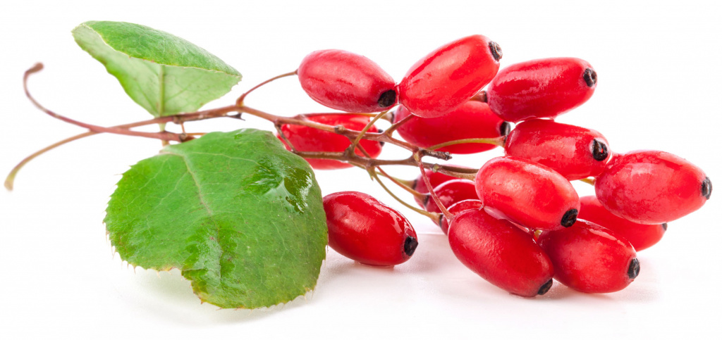 В ягодах Годжи содержатся 18 аминокислот, цинк, кальций, йод, медь, калий, фосфор, магний, селен Растение Годжи