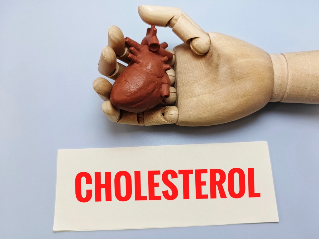 Если уровень холестерина повышен, следует полностью отказаться от вредных привычек Что делать, если уровень холестерина повышен?