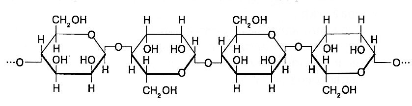 Являясь полимерами, маннаны имеют огромные длинноцепочечные молекулы, состоящие из десятков атомов углерода, водорода, кислорода Маннан