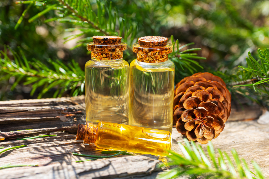 Еловая хвоя богата эфирными маслами. Они считаются высокоэффективными фитонцидами Еловая хвоя богата эфирными маслами