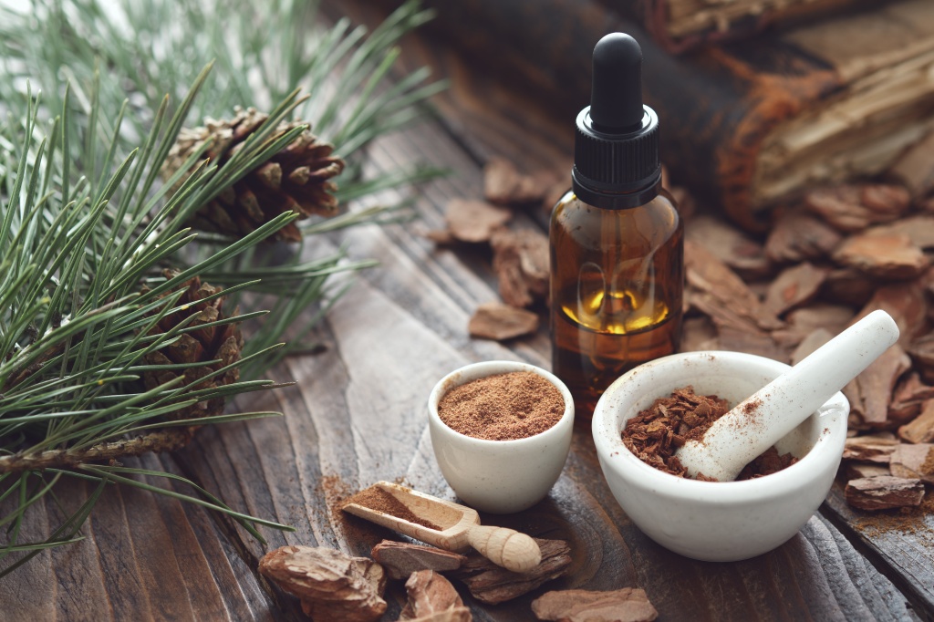 Регулярное употребление экстракта сосновой коры в составе некоторых биологических добавок снижает уровень сахара в крови Пикногенол