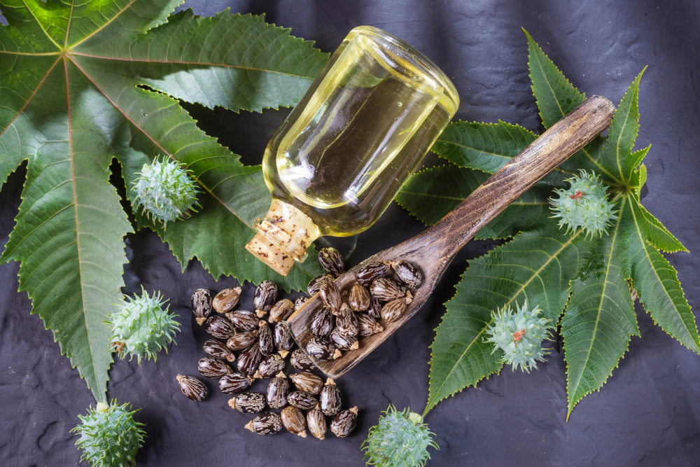 Касторовое масло – прозрачная или желтовата жидкость, получаемая путем отжима семян клещевины Касторовое масло