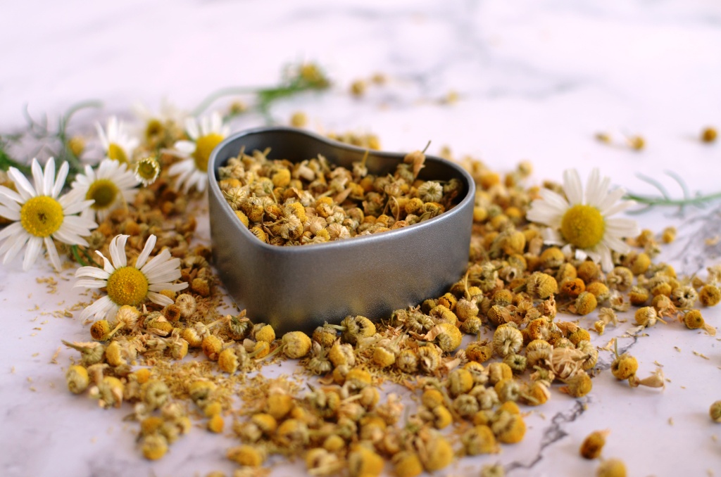 Чай из ромашки готовят без кипячения цветов Средства, в состав которых входит ромашка, являются выраженными спазмолитиками