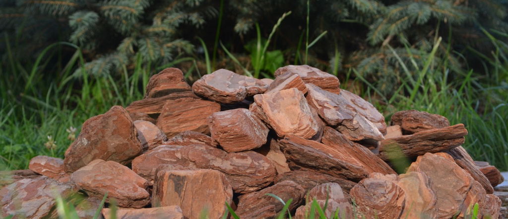 Сосновая кора – мощный антиоксидант, который использовался коренным населением Северной Америки и Азии в качестве лечебного растения Сосновая кора