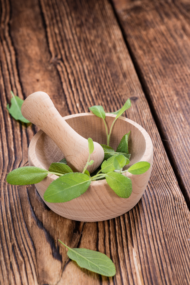 Withania somnifera Withania somnifera