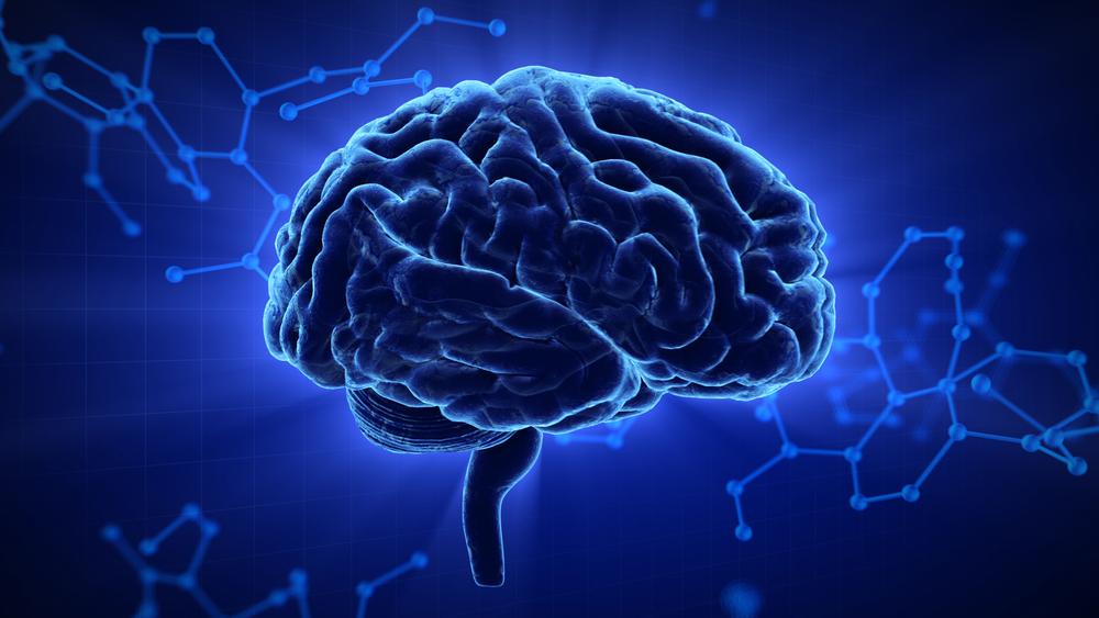 Все поступающие в мозг данные обрабатываются обоими полушариями развивать нужно оба полушария