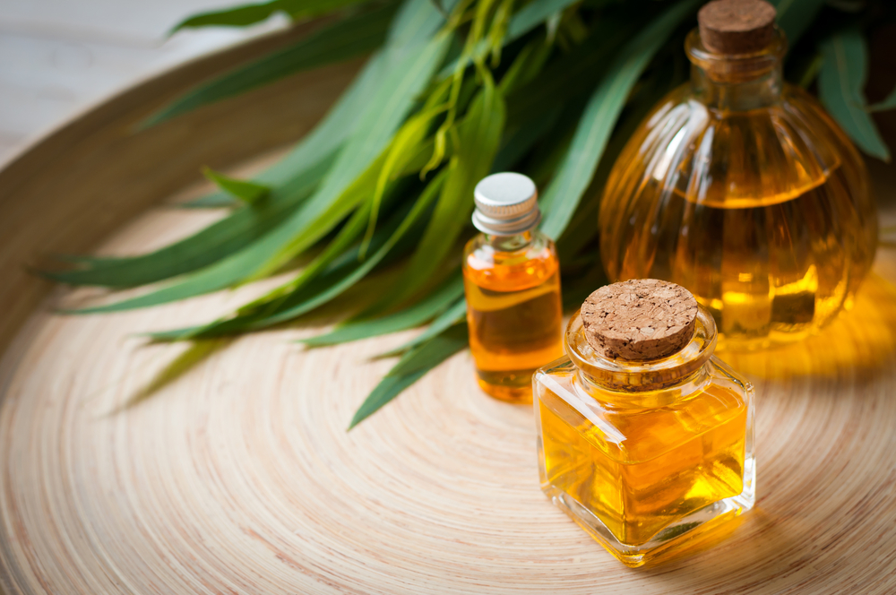 Для смягчения проявлений перхоти подходит масло чайного дерева, обладающее мощным противогрибковым и антибактериальным эффектом Масло чайного дерева