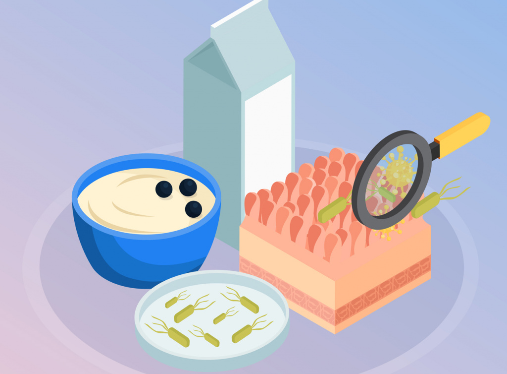 Пробиотики - полезные бактерии - попадают в кишечник с пищей, улучшают работу ЖКТ Полезные бактерии