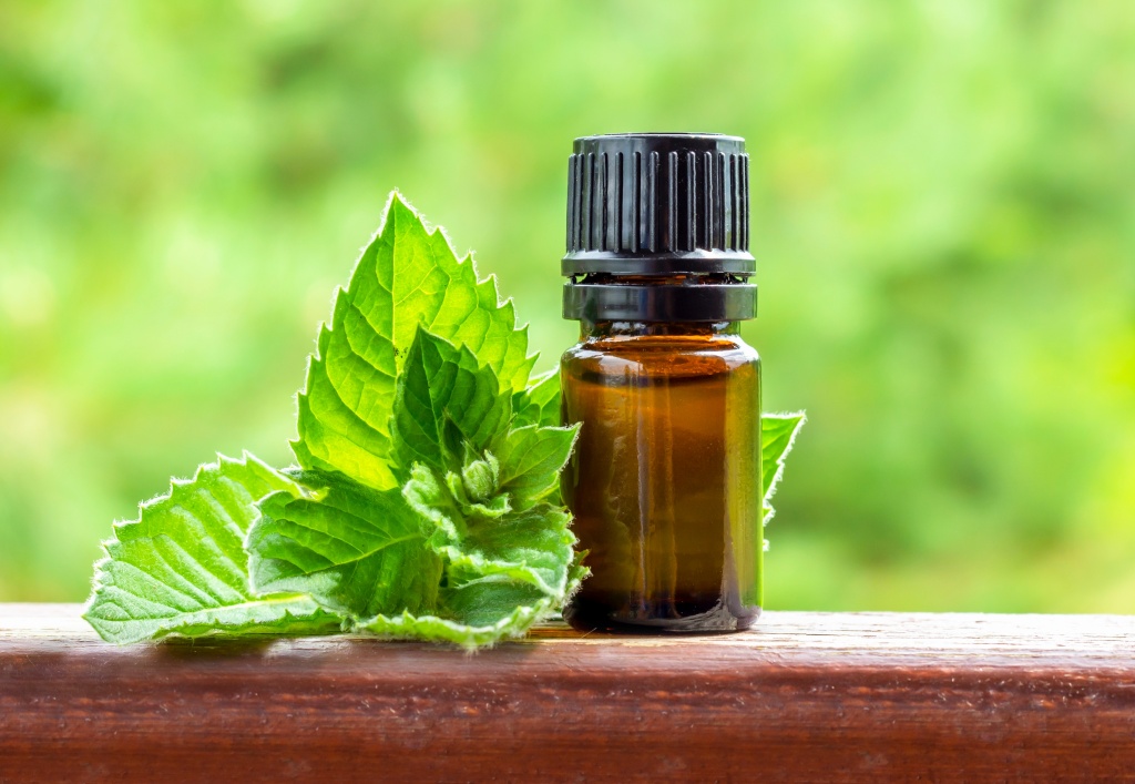 Совместное использование масла перечной мяты с тминным может заменить прием некоторых медицинских препаратов, которые имеют побочные эффекты в виде нарушений сердечного ритма Смесь тминного и масла перечной мяты