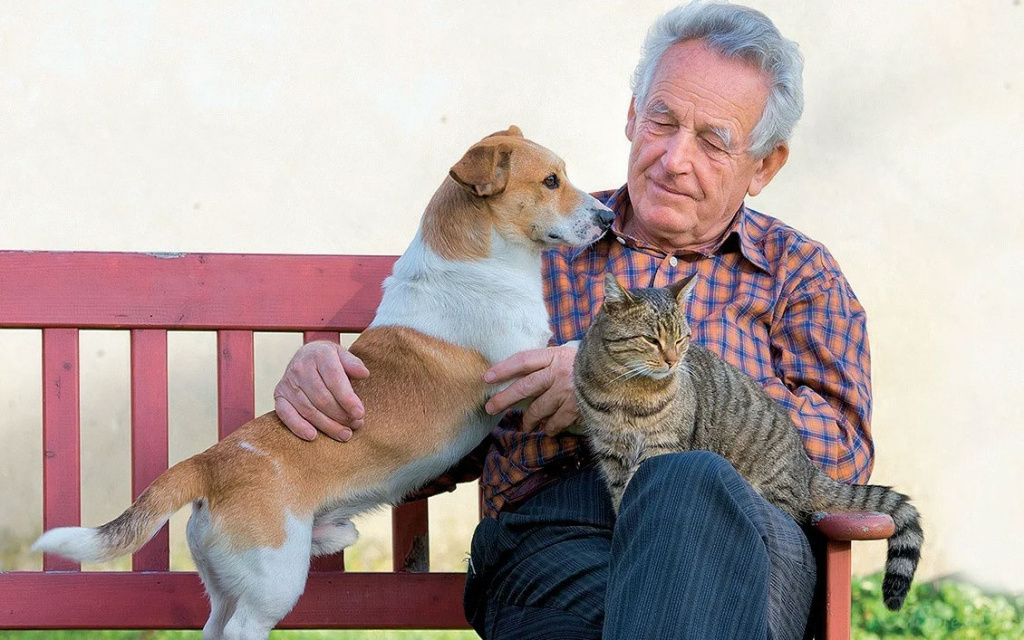 Заведите собаку или кошку. Научно доказано, что люди, пережившие инфаркт или инсульт, быстрее восстанавливаются, когда рядом с ними находится пушистый друг. Заведите собаку или кошку