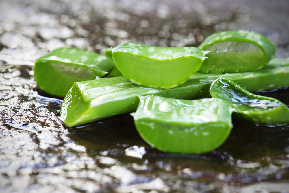 Растение используют для улучшения пищеварительных процессов и стимуляции аппетита. Цветок оказывает тонизирующее воздействие и укрепляет иммунитет Растение используют для улучшения пищеварительных процессов и стимуляции аппетита. Цветок оказывает тонизирующее воздействие и укрепляет иммунитет