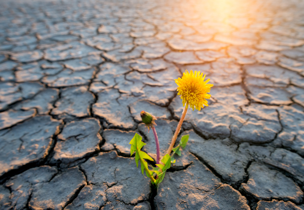 Дефицит жидкости Дефицит жидкости