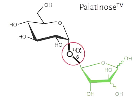 Впервые изомальтулоза была получена в 50-х годах ХХ века в лаборатории Пфальц немецкой корпорации Südzucker AG, являющейся одним из крупнейших производителей сахара в Европе. Там же продукт получил торговое название палатиноза, в честь лаборатории Палатиноза