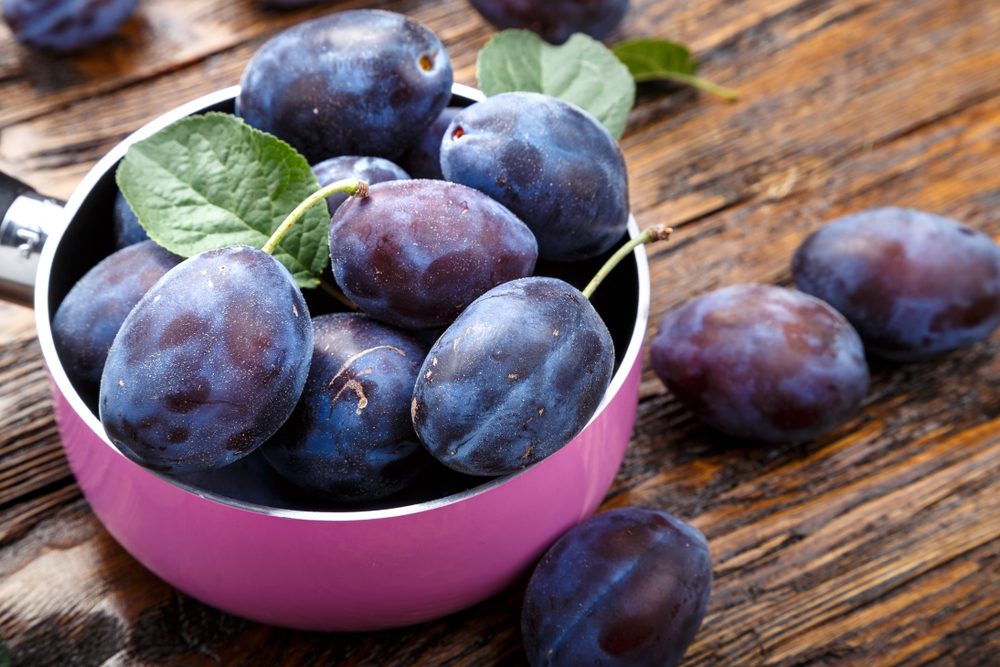 Сливы повышает способность углеводов усваиваться в крови Слива черного сорта