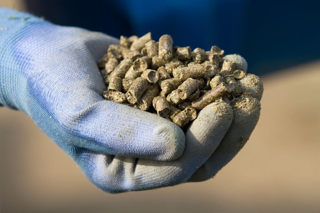 О дополнительном внесении фосфора стоит задуматься в случае замедленного роста посадок Фосфорные удобрения