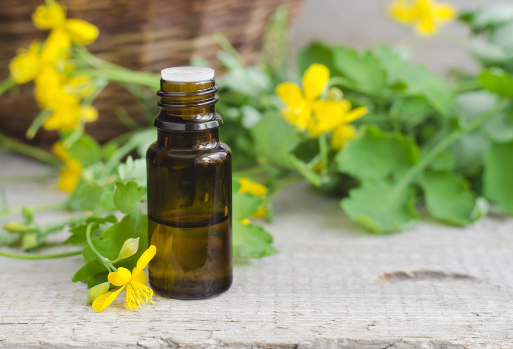 Профилактика и лечение геморроя народными методами Профилактика и лечение геморроя народными методами