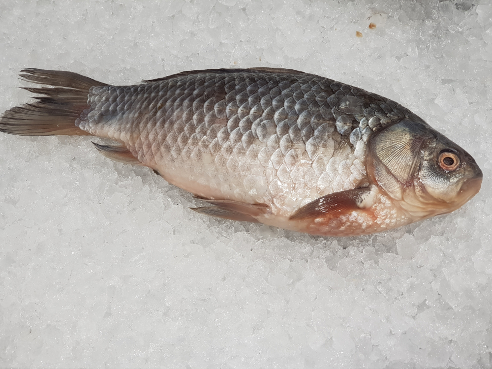 Чаще именно рыба бывает несвежей, некачественной Рыба