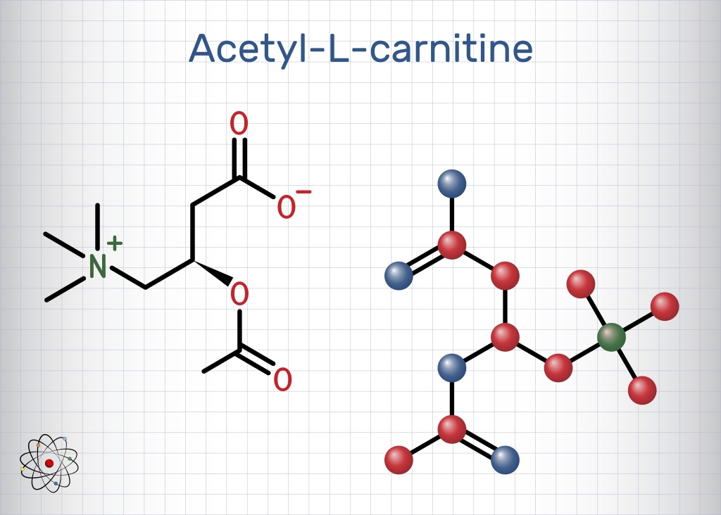 Ацетил-L-карнитин вырабатывается в организме человека почками, дает ему энергию, обладает антиоксидантными свойствами и помогает в борьбе со свободными радикалами. Ацетил-L-карнитин