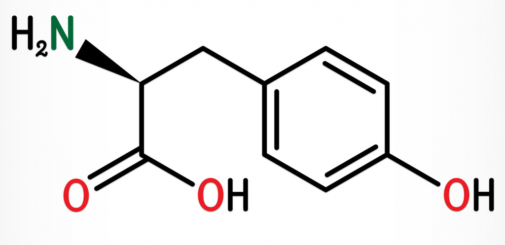 L-тирозин - разновидность тирозина (другое название: α-амино-β-(п-гидроксифенил) пропионовая кислота) — аминокислоты, необходимой для построения белков. L-тирозин