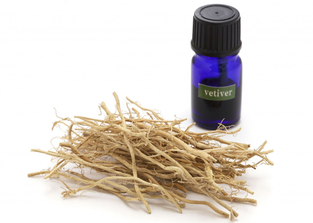 Эфирное масло ветивера широко используется в медицинской, косметологической, парфюмерной областях Эфирное масло ветивера