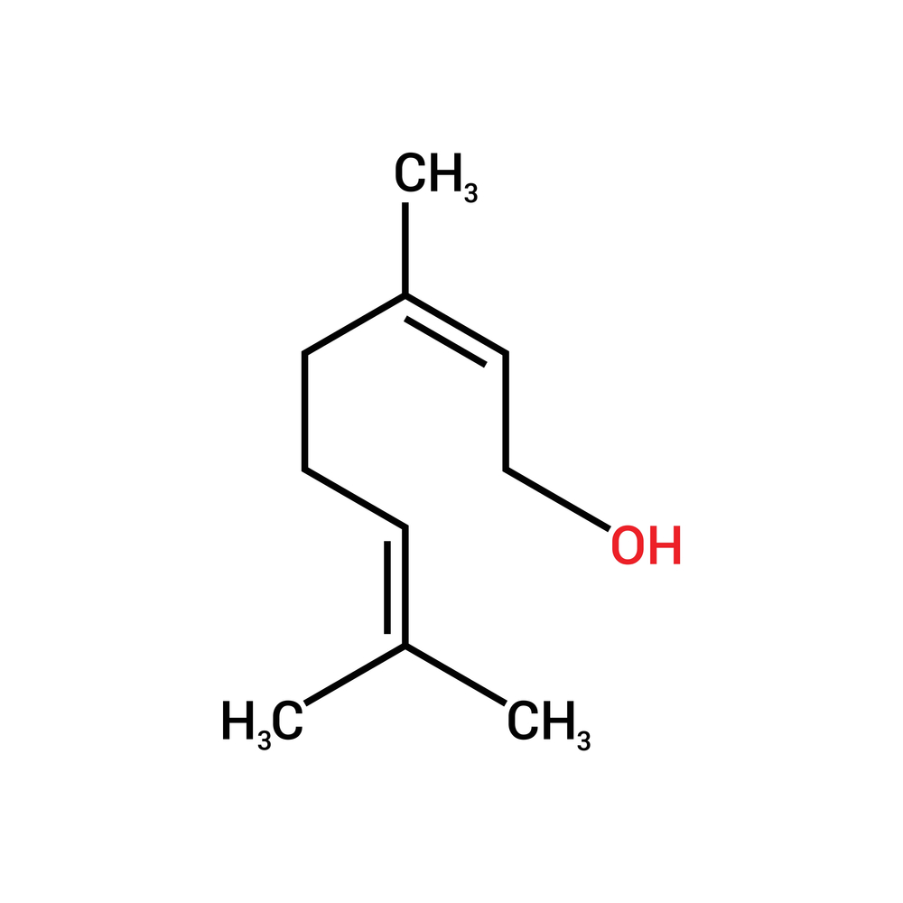 Трепены пихты отличаются быстродействием Трепены