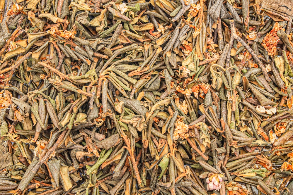 Пробиотики запрещены детям, у которых диагностирован иммунодефицит Пробиотики