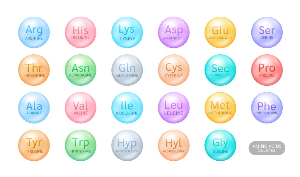 Аминокислоты входят в состав каждого белка, поэтому они абсолютно необходимы организму Аминокислоты