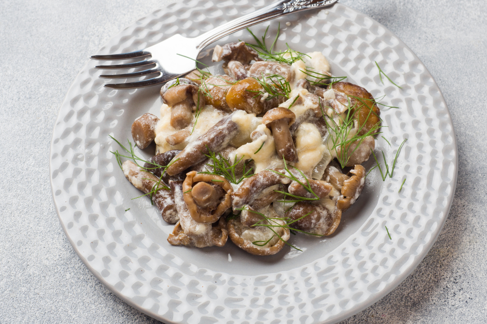 Грибы должны быть тушеными Грибы – это белок растительного происхождения, содержащий в себе сухой протеин