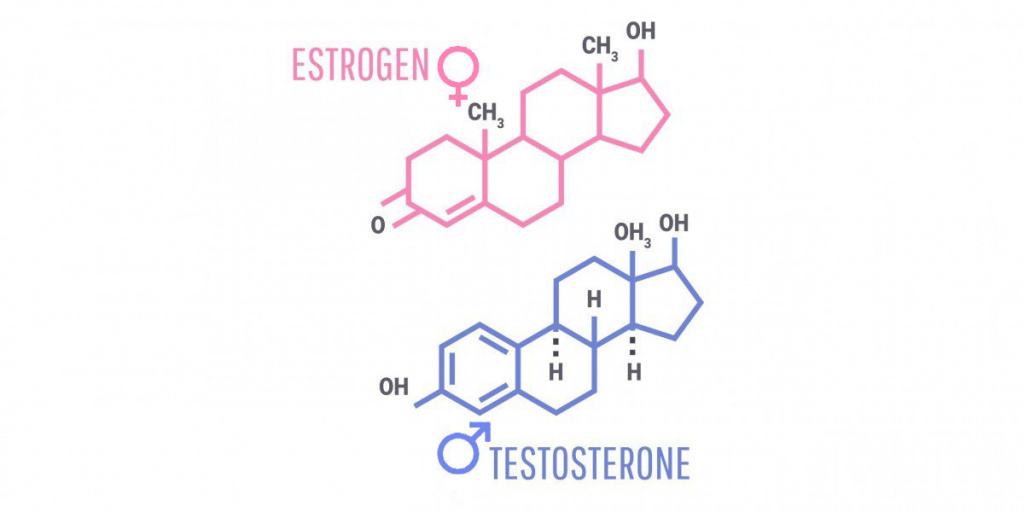 Гормоны — биоактивные вещества, управляющие функциями организма Гормоны