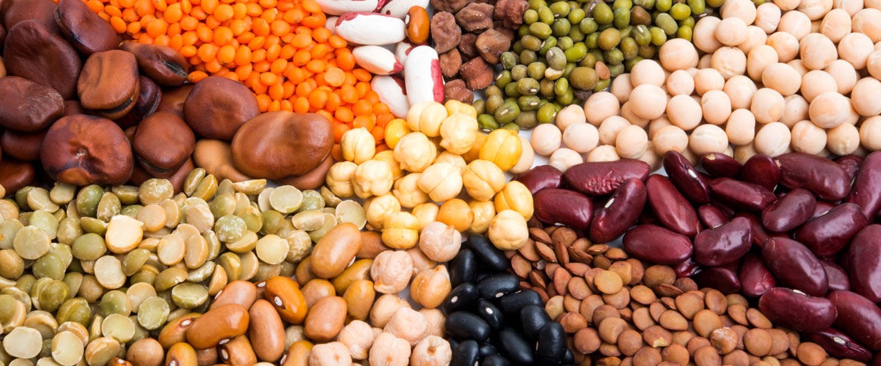 Растительный белок: в каких продуктах содержится?